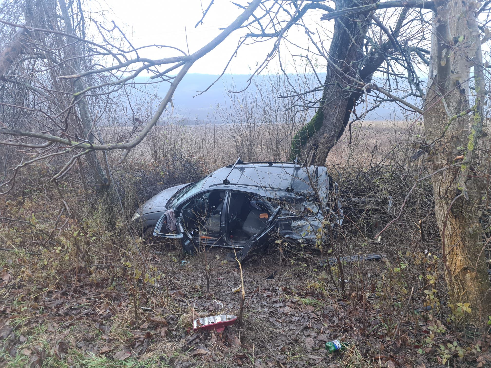 Accident rutier pe DJ793 la ieșire din Sebiș